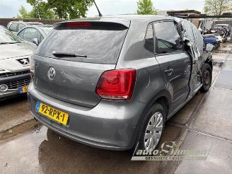 Volkswagen Polo Polo V (6R), Hatchback, 2009 / 2017 1.4 16V picture 3