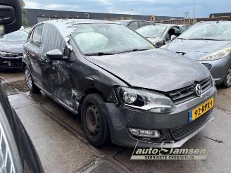 Volkswagen Polo Polo V (6R), Hatchback, 2009 / 2017 1.4 16V picture 2