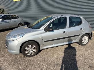 Peugeot 206+  picture 2