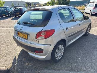 Peugeot 206+  picture 4