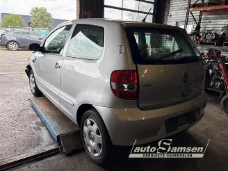 Volkswagen Fox  picture 6