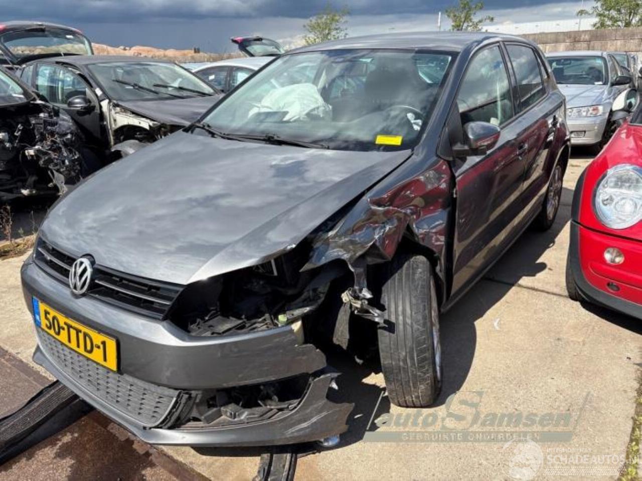 Volkswagen Polo Polo V (6R), Hatchback, 2009 / 2017 1.2 TSI