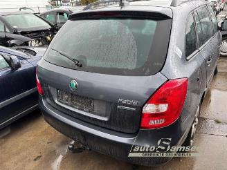 Skoda Fabia Fabia II Combi, Combi 5-drs, 2007 / 2015 1.2 TDI 12V Greenline picture 6