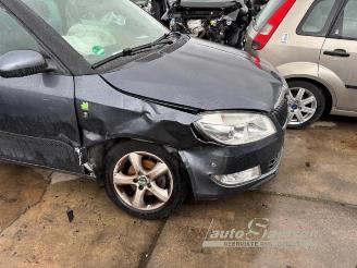 Skoda Fabia Fabia II Combi, Combi 5-drs, 2007 / 2015 1.2 TDI 12V Greenline picture 2