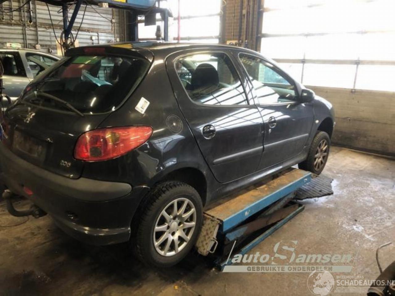 Peugeot 206 206 (2A/C/H/J/S), Hatchback, 1998 / 2012 1.4 XR,XS,XT,Gentry