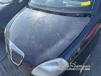 Lancia Ypsilon Ypsilon (843), Hatchback, 2003 / 2011 1.2 picture 6