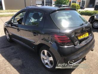 Peugeot 207 207/207+ (WA/WC/WM), Hatchback, 2006 / 2015 1.6 16V VTRi picture 13