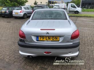 Peugeot 206 206 CC (2D), Cabrio, 2000 / 2007 1.6 16V picture 5
