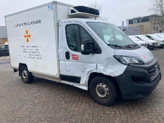 uszkodzony samochody ciężarowe Fiat Ducato 2.3 MJ 103KW AUTOM.  KOELING  TIEFKUHLUNG KLIMA EURO6 2021/1