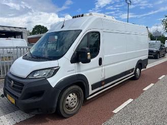 krockskadad bil bedrijf Fiat Ducato 2.3 MJ 103KW MAXI L4H2 KOELING TIEFKUHLUNG -18GR  KLIMA 2021/9