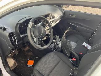 Kia Picanto Picanto (JA), Hatchback, 2017 1.0 DPi 12V picture 5