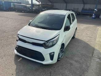 Kia Picanto Picanto (JA), Hatchback, 2017 1.0 DPi 12V picture 3