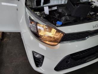 Kia Picanto Picanto (JA), Hatchback, 2017 1.0 DPi 12V picture 10