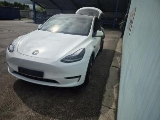 Tesla Model Y Model Y (5YJY), SUV, 2019 RWD picture 2
