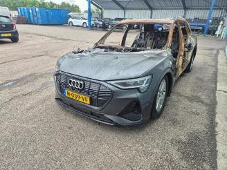 Audi E-tron E-tron (GEN), SUV, 2018 50 quattro picture 2
