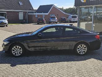 BMW 4-serie 420i 2.0 Turbo 16V Coupe 2Dr Benzine 1.997cc 135kW (184pk) RWD picture 9