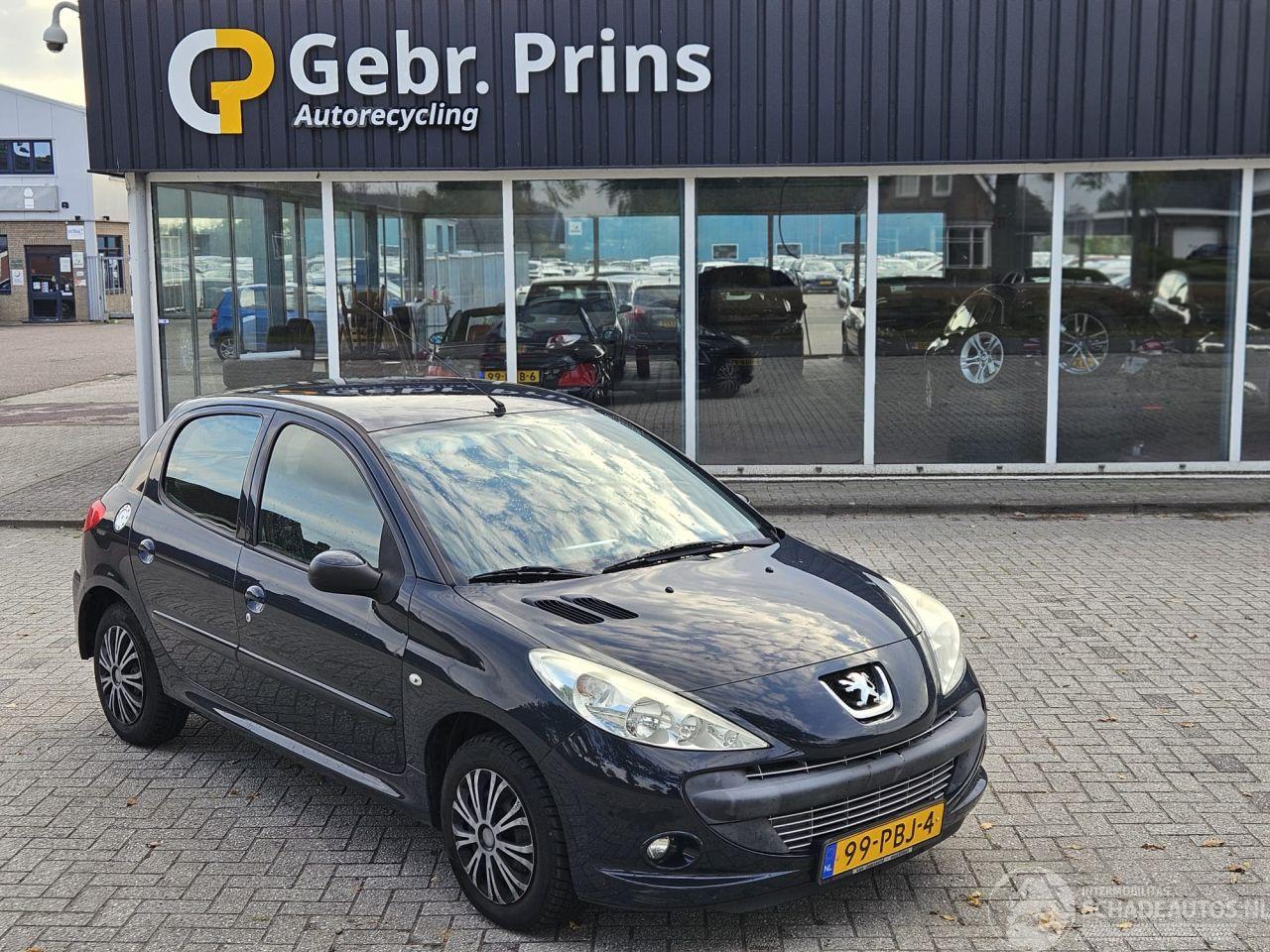Peugeot 206+ 1.4 XS Hatchback  Benzine 1.360cc 55kW (75pk) FWD 2009-03/2013-08 (2LKFW; 2MKFW) TU3JP; KFW