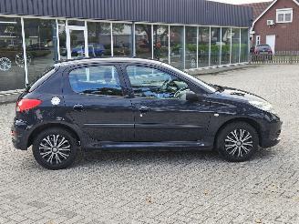 Peugeot 206+ 1.4 XS Hatchback  Benzine 1.360cc 55kW (75pk) FWD 2009-03/2013-08 (2LKFW; 2MKFW) TU3JP; KFW picture 2