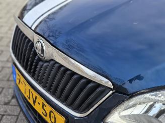 Skoda Fabia 1.2 TSI Hatchback 4Dr Benzine 1.197cc 63kW (86pk) FWD picture 8