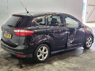 Schadeauto Ford C-Max 1.0 Ti-VCT EcoBoost 12V 100 MPV  Benzine 998cc 74kW (101pk) FWD 2013/6