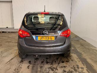 Opel Meriva 1.4 16V Ecotec MPV  Benzine 1.398cc 74kW (101pk) FWD picture 6