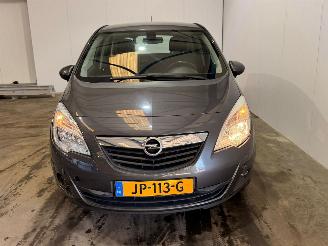 Opel Meriva 1.4 16V Ecotec MPV  Benzine 1.398cc 74kW (101pk) FWD picture 5