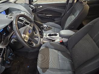 Ford Grand C-Max 1.6 Ti-VCT 16V MPV  Benzine 1.596cc 77kW (105pk) FWD picture 11