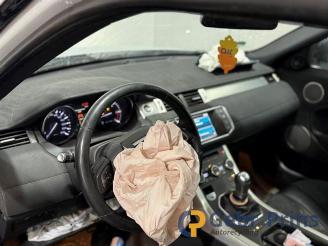 Land Rover Range Rover Evoque Range Rover Evoque (LVJ/LVS), SUV, 2011 / 2019 2.2 TD4 16V picture 9