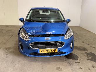 Ford Fiesta 1.0 EcoBoost 12V 100 picture 4