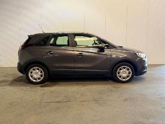 Opel Crossland X 1.2 120 Jaar Edition picture 6