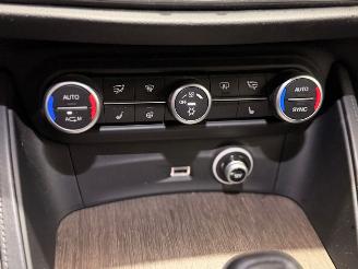 Alfa Romeo Stelvio 2.0 T AWD Super Business Edition Q4 picture 14