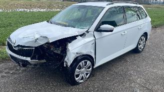 damaged passenger cars Skoda Fabia 1.0 TSI 12V 2017/9