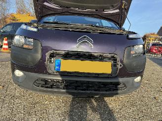 Citroën C4 cactus 1.6 BlueHDi Business picture 22