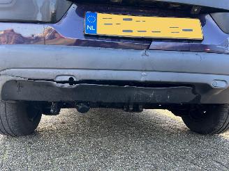 Citroën C4 cactus 1.6 BlueHDi Business picture 9