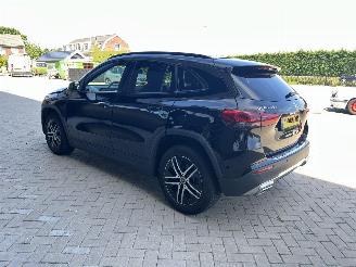 Mercedes GLA 250 e Luxury Line | 74.242 km!! Pano Memory Leder picture 16