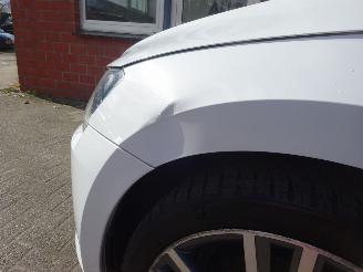 Skoda Superb 2.0 TDI Ambition Business, Panorama, Navi, DAB+, Climate & Cruise picture 34