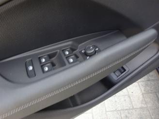 Cupra Terramar 1.5 E-Hybrid 150kw Performance picture 15