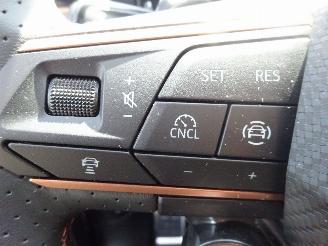 Cupra Terramar 1.5 E-Hybrid 150kw Performance picture 18