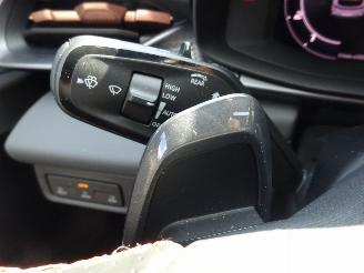 Cupra Terramar 1.5 E-Hybrid 150kw Performance picture 21