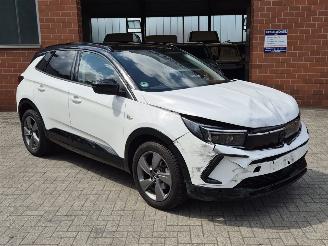 Opel Grandland GS Line, 96KW, Cruisecontrol, Climatecontrol picture 2