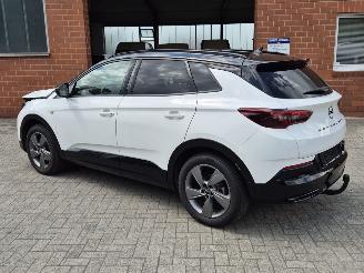 Opel Grandland GS Line, 96KW, Cruisecontrol, Climatecontrol picture 4
