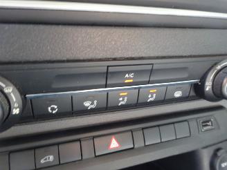 Opel Vivaro Edition M 118kw Euro6-d, Airco, Cruise, Navi, PDC picture 20