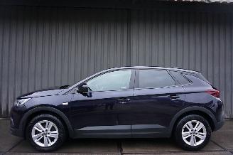 Opel Grandland X 1.2 Turbo 96kW Online Edition picture 6