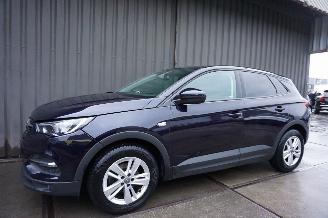 Opel Grandland X 1.2 Turbo 96kW Online Edition picture 7