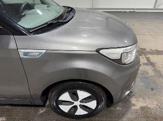 Kia Soul EV 27kWh 81kW ExecutiveLine DAB Stoel/Stuurverwarming picture 16