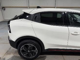 Alfa Romeo Junior 54kWh Elettrica  Speciale  115kW picture 39