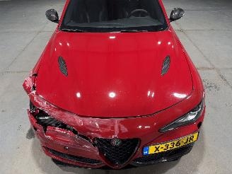 Alfa Romeo Giulia 2.9V6 375kW Automaat Quadrifoglio Sauber Engineering Carbon Pakket picture 20