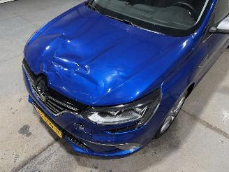 Renault Mégane 1.3TCe 103kW GT-Line picture 21