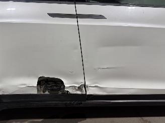 Tesla Model X 100D 100kWh 307kW Pano picture 22