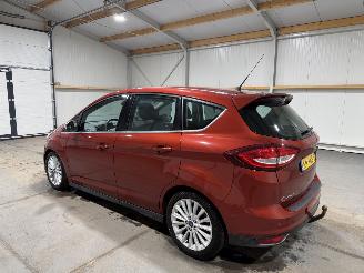 Ford C-Max 1.0 92kW Titanium picture 11